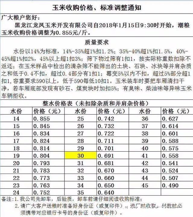 玉米价格内蒙最新今天,玉米价格内蒙最新今天动态分析