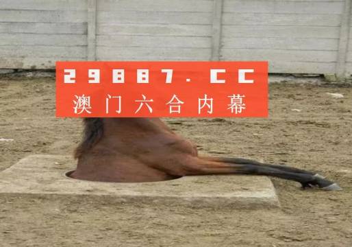 993994www跑狗玄机,揭秘跑狗玄机与993994背后的故事