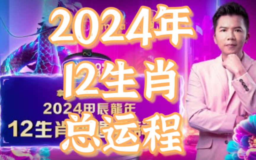 管家婆一码中一肖2024,管家婆的神秘预测，一码中定一肖，探寻2024年生肖运势