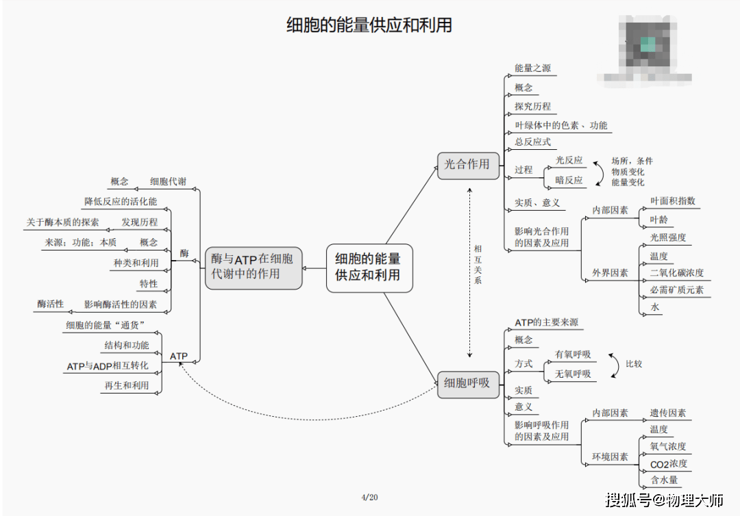 白小姐三肖三期必出一期开奖虎年,白小姐三肖三期必出一期开奖虎年，神秘预言还是现实机遇？