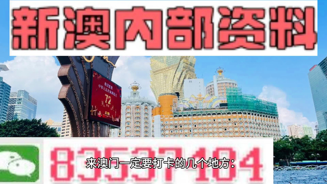 新2024澳门兔费资料,新2024澳门兔费资料解析