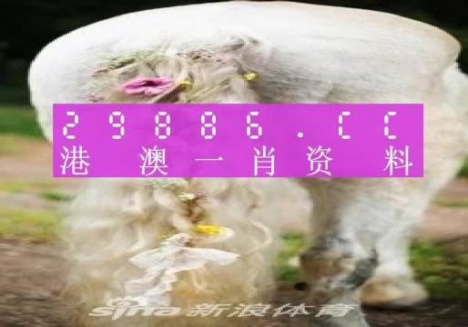 今晚一肖一码澳门一肖四不像,今晚一肖一码澳门一肖四不像，探索与解析