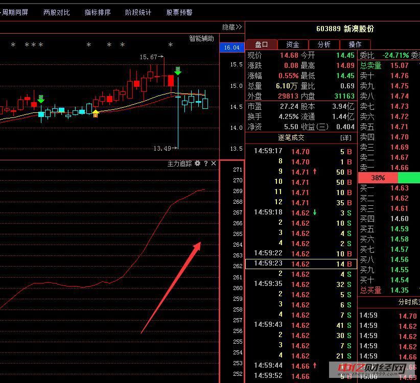 新奥4949论坛高手,新奥4949论坛高手的世界